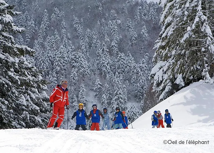 Les Gourgs Blancs - 80m Des Pistes - 6 Personnes