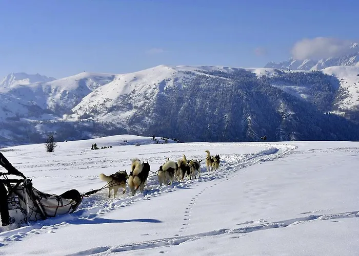 Les Gourgs Blancs - 80m Des Pistes - 6 Personnes شقة *